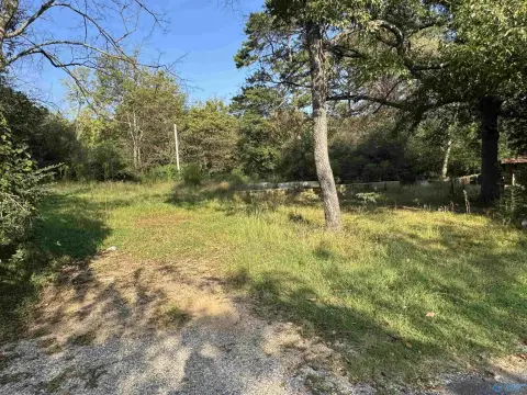 Unrestricted Acreage in Piedmont, Alabama