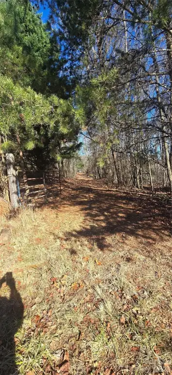 Picture 2