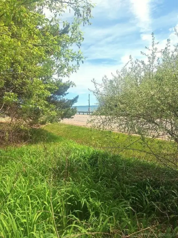 Picture 7