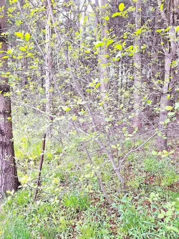 Picture 18