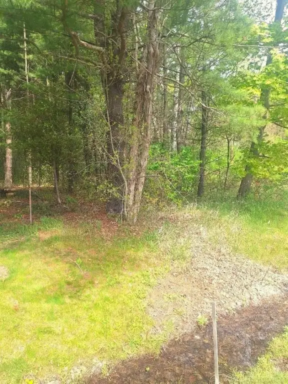 Picture 14