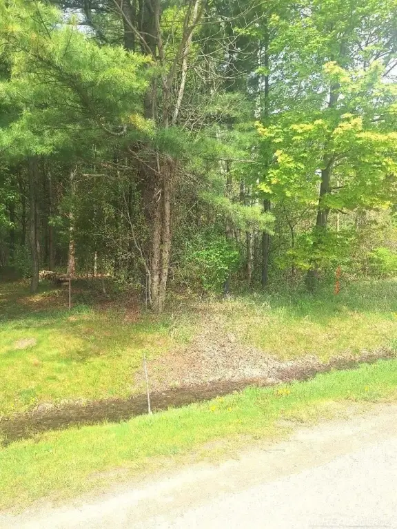 Picture 25