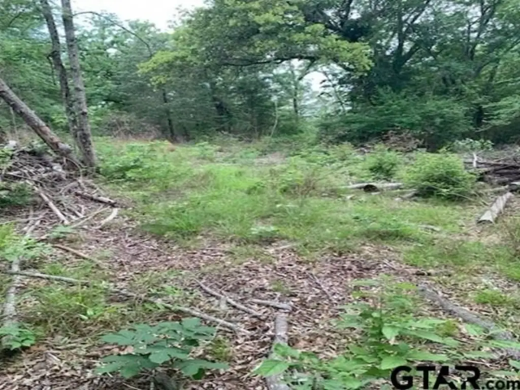 Picture 3