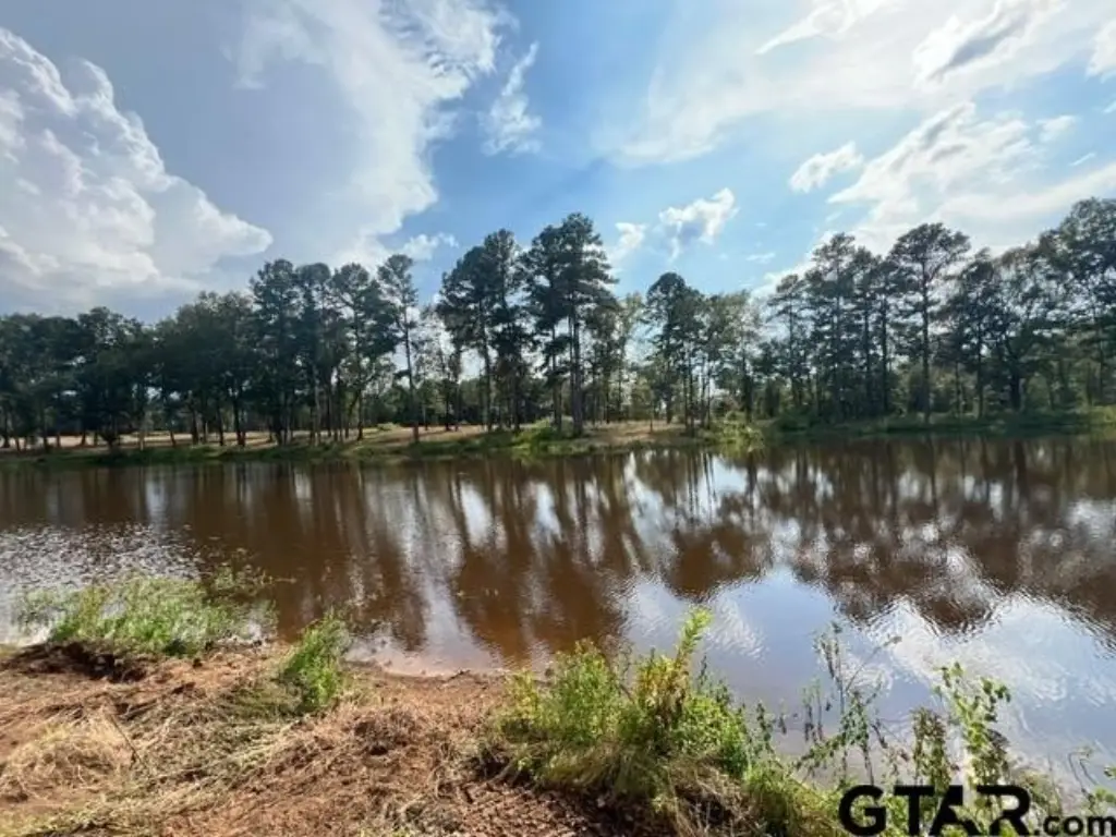 Picture 16