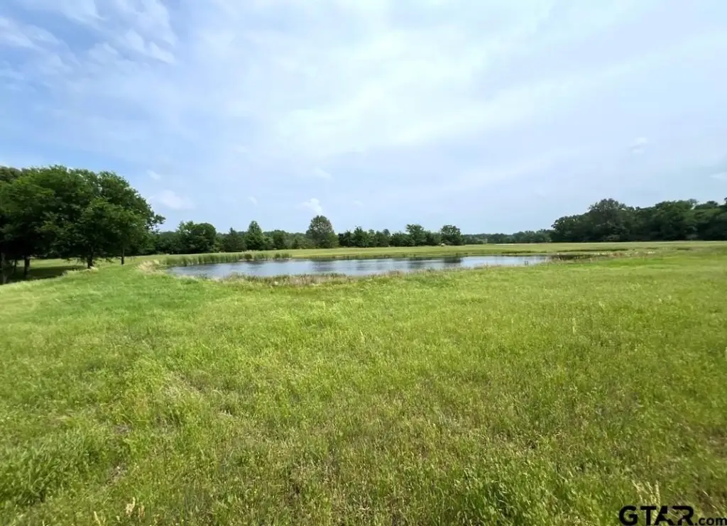 Picture 39