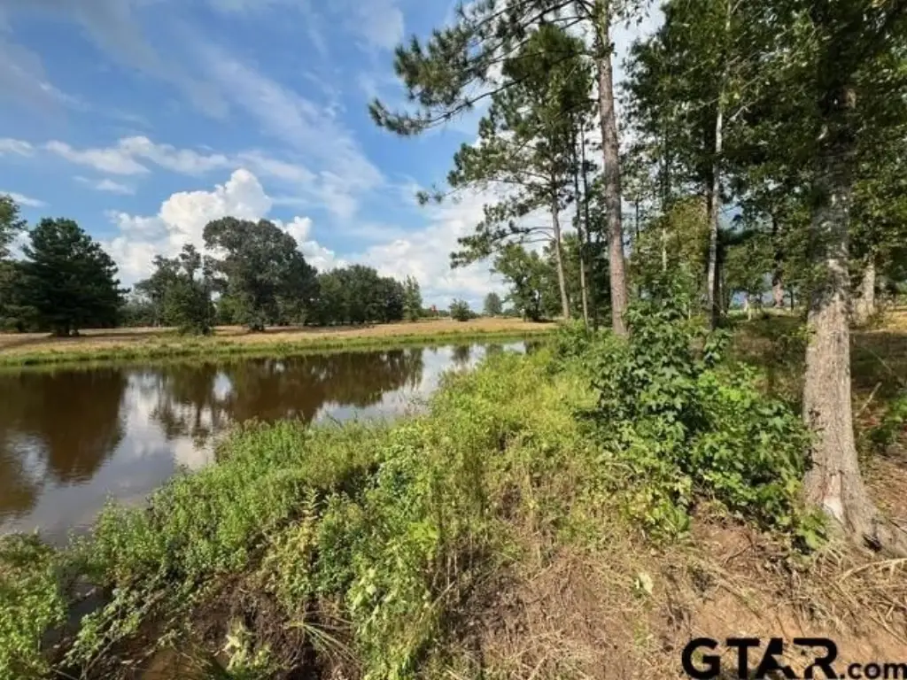 Picture 30