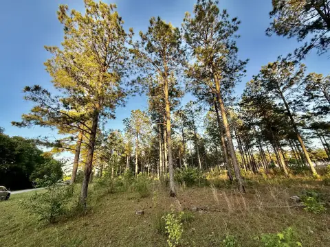 Land in Blackville, SC