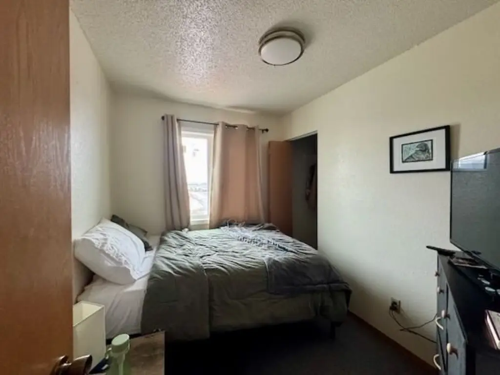 Picture 19