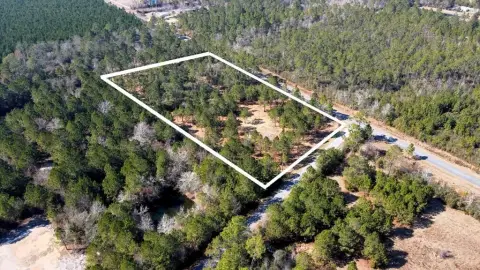 Spacious Land Parcel in Wewahitchka