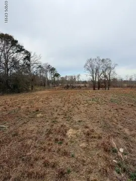 Land with Creek Access