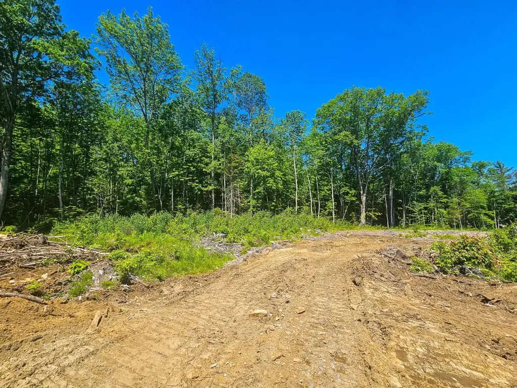 Picture 3