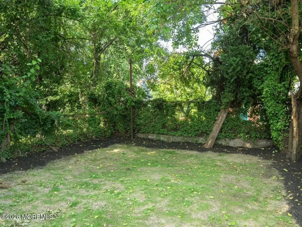 Picture 38
