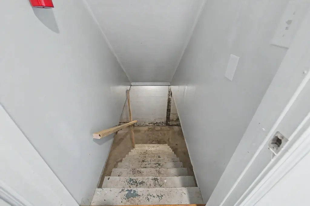 Picture 19