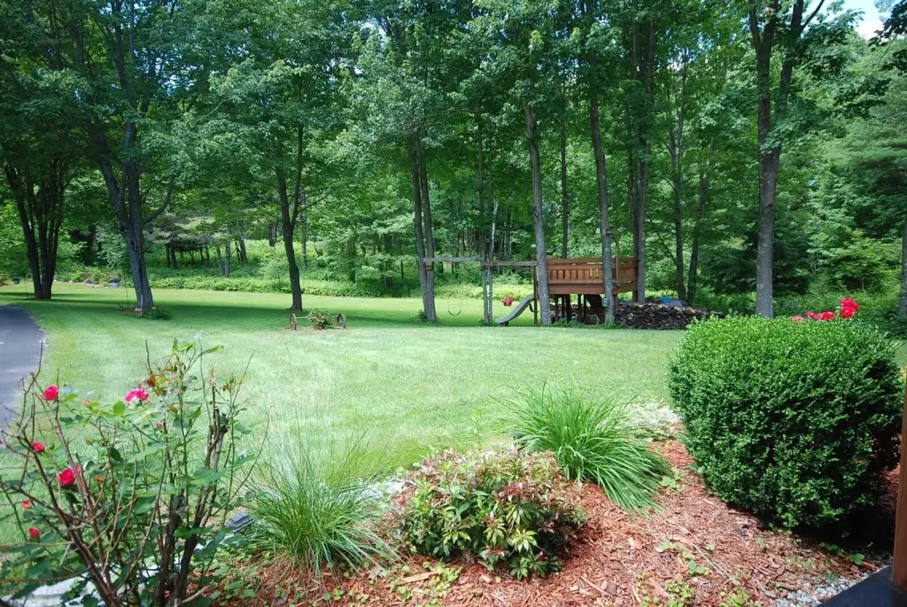 Picture 19