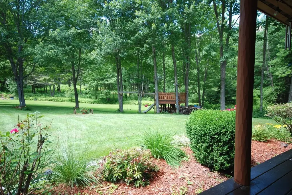 Picture 20