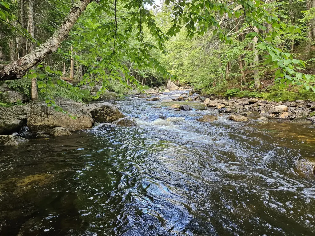 Picture 43