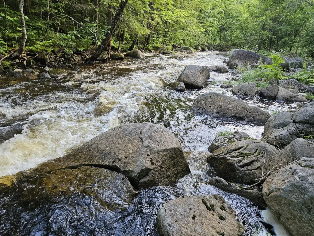 Picture 45