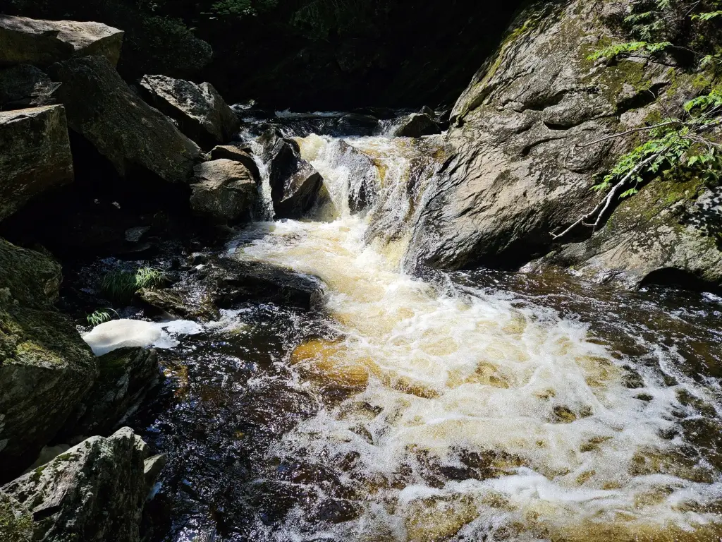 Picture 46