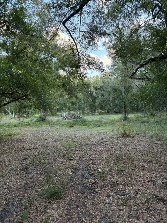 Picture 10