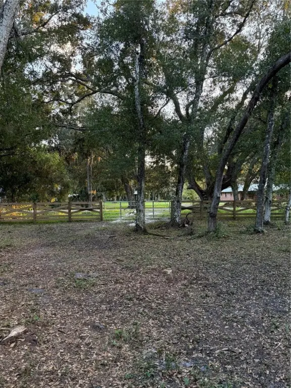 Picture 8