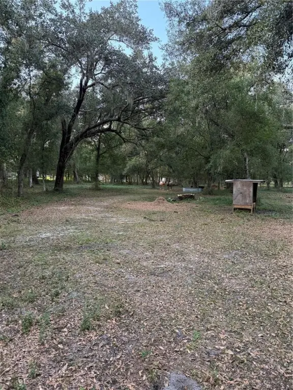 Picture 15