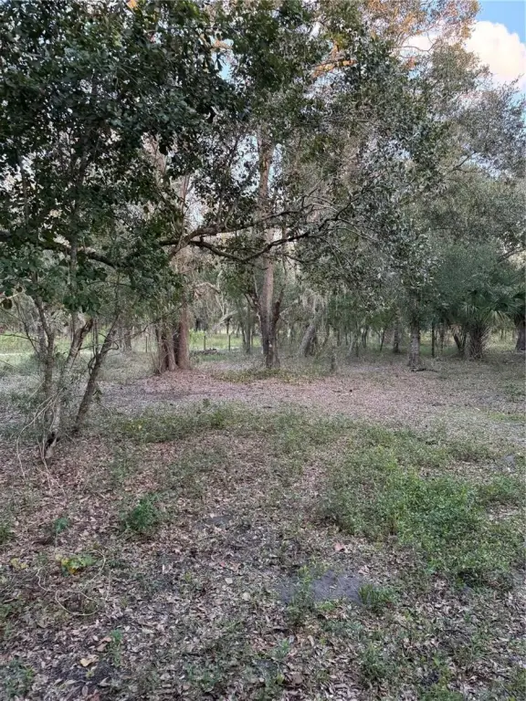 Picture 13
