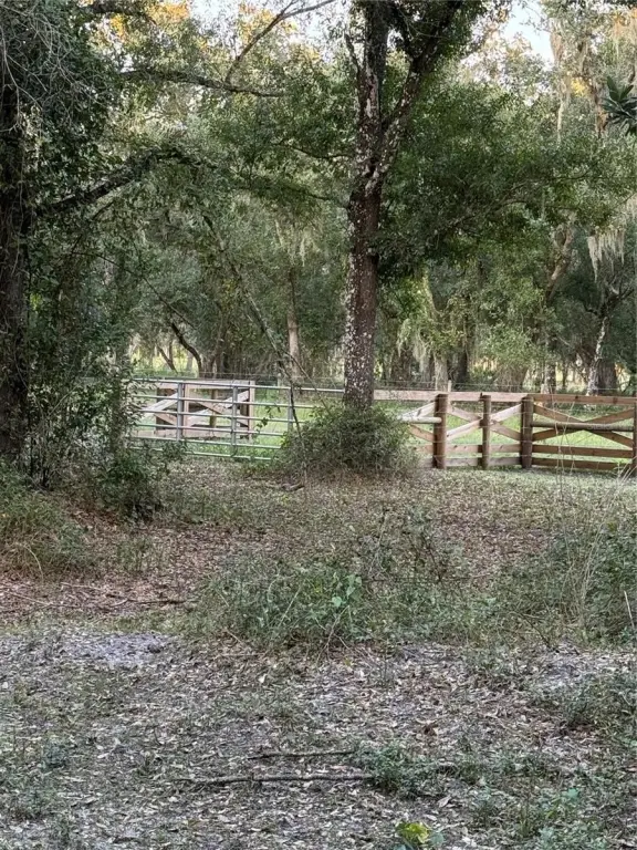 Picture 7