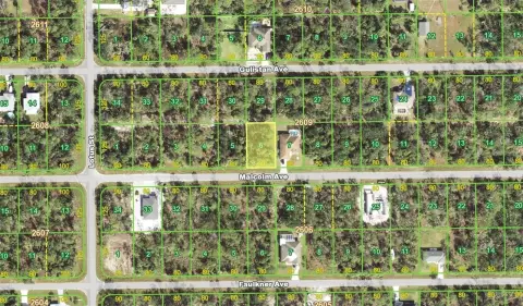 Vacant Single-Family Buildable Lot