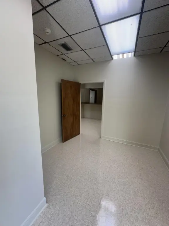 Picture 19