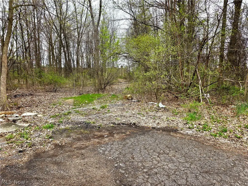 Picture 2