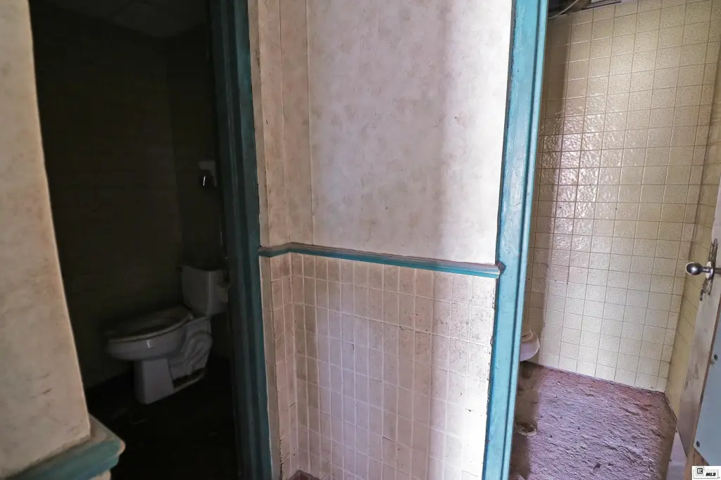 Picture 12
