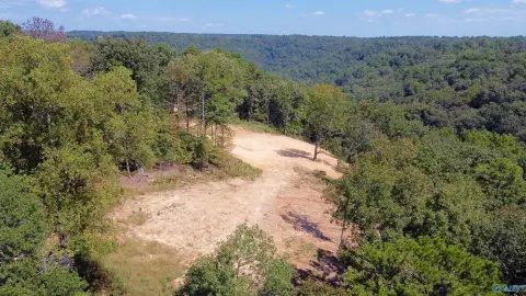 Guntersville Land For Sale