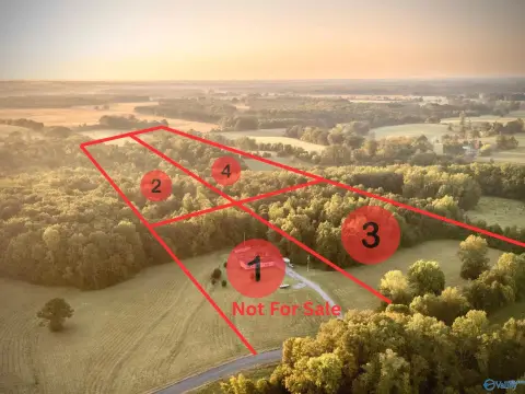 Wooded Acreage in Anderson, AL