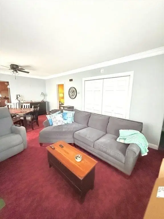 Picture 31