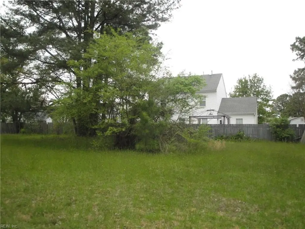 Picture 5