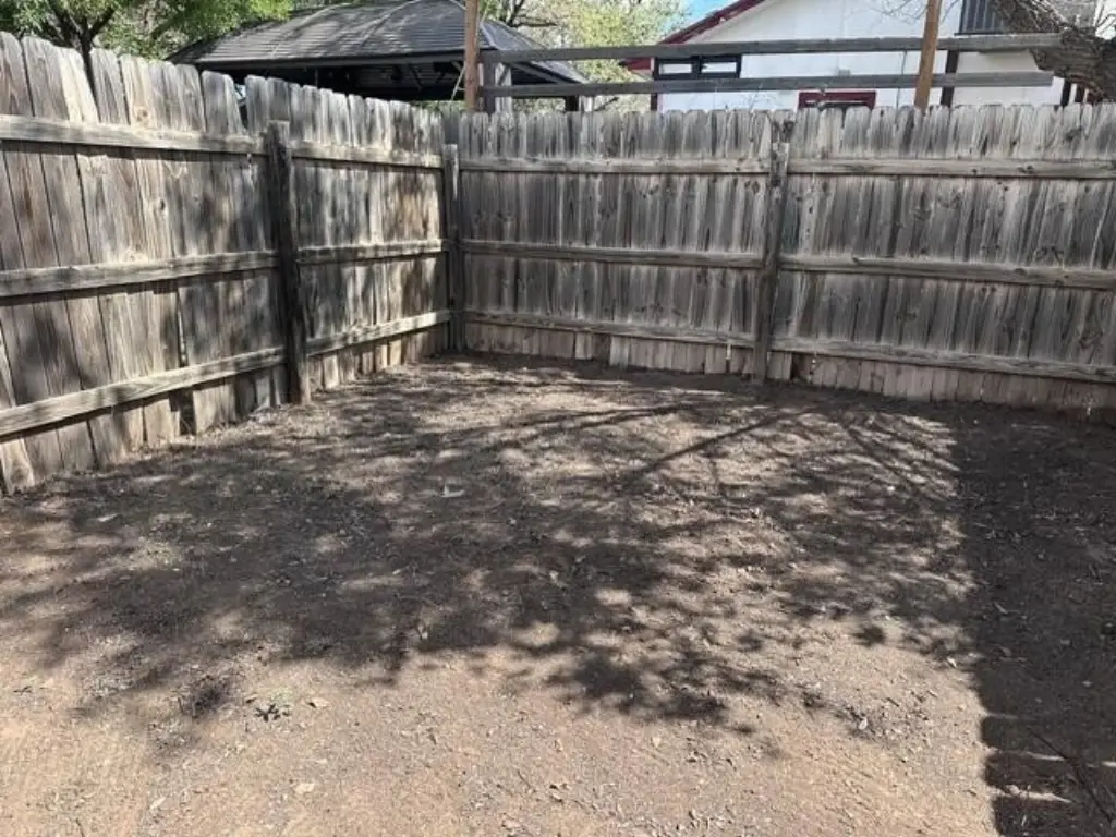 Picture 10