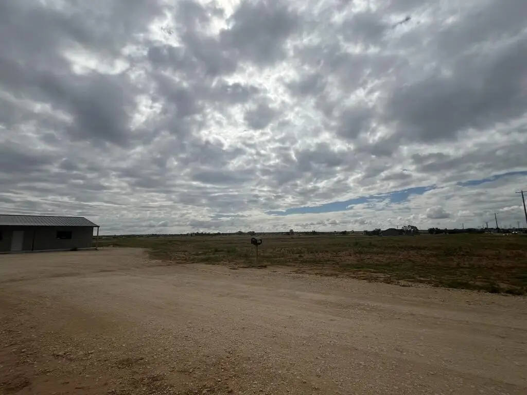 Picture 3