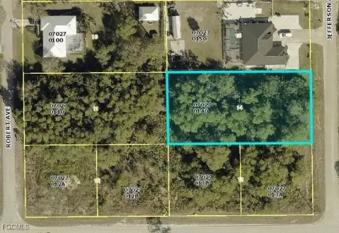 Lehigh Acres Half-Acre Lot