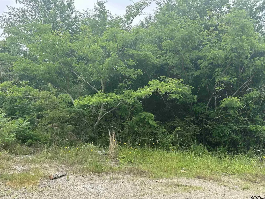Picture 2