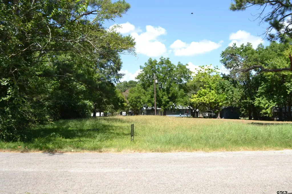 Picture 11