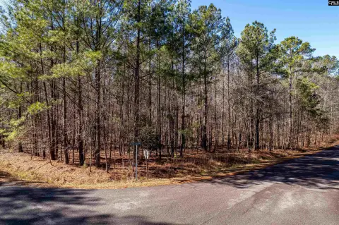 Wooded Lot Near Lake Murray