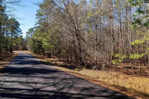 Lake Access Wooded Lot