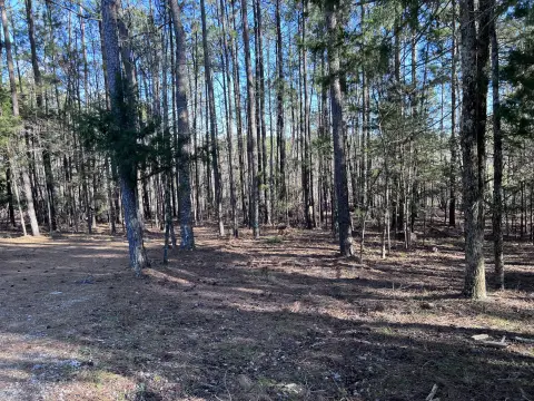 Land in Appling, Georgia