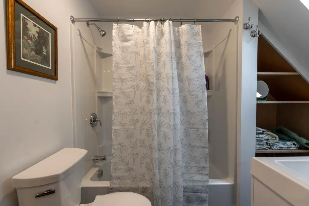 Picture 48