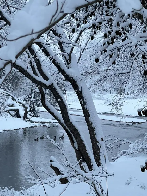 Picture 27