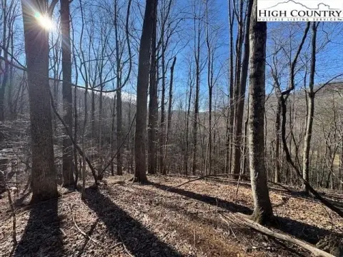 Land in Peaceful West Jefferson