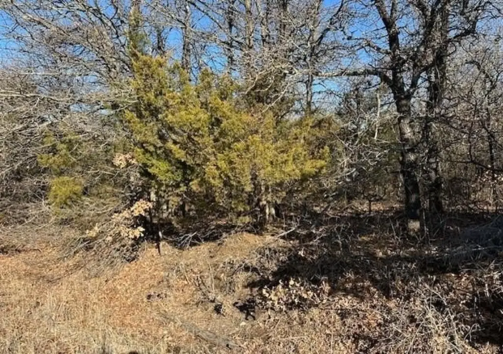 Picture 2