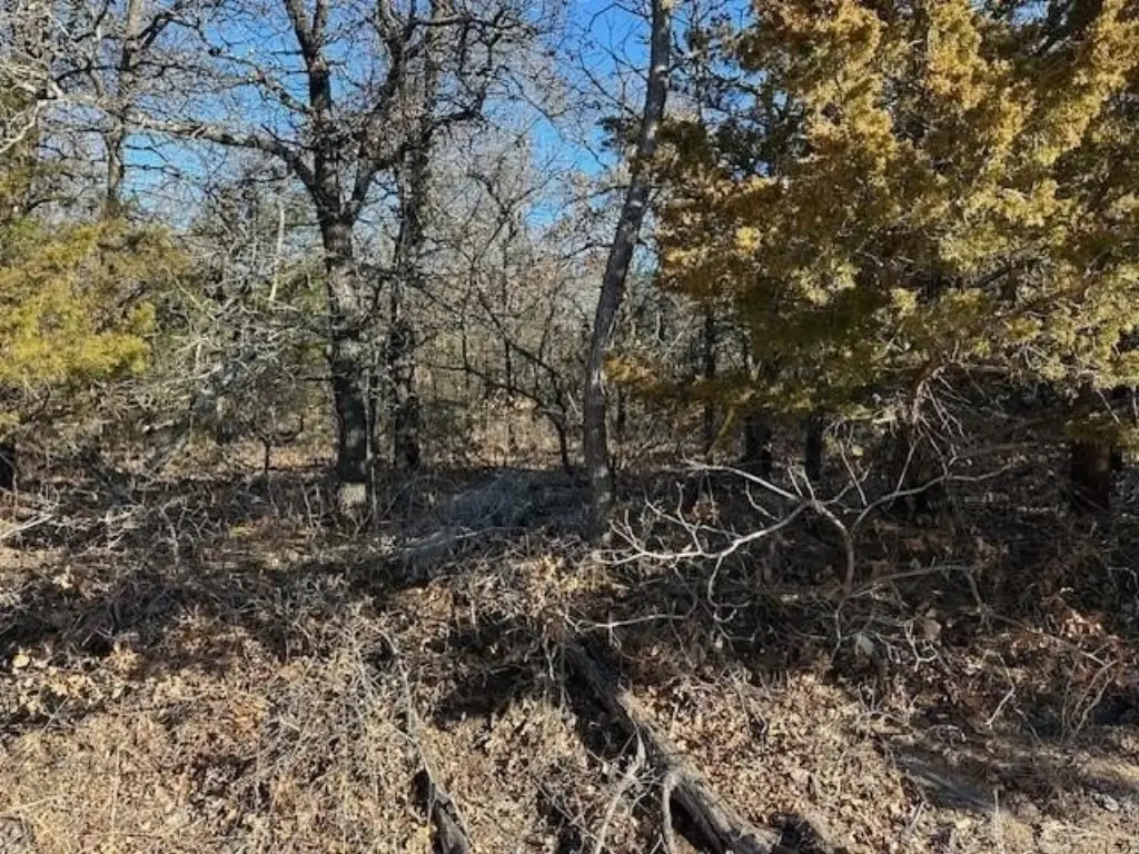 Picture 11