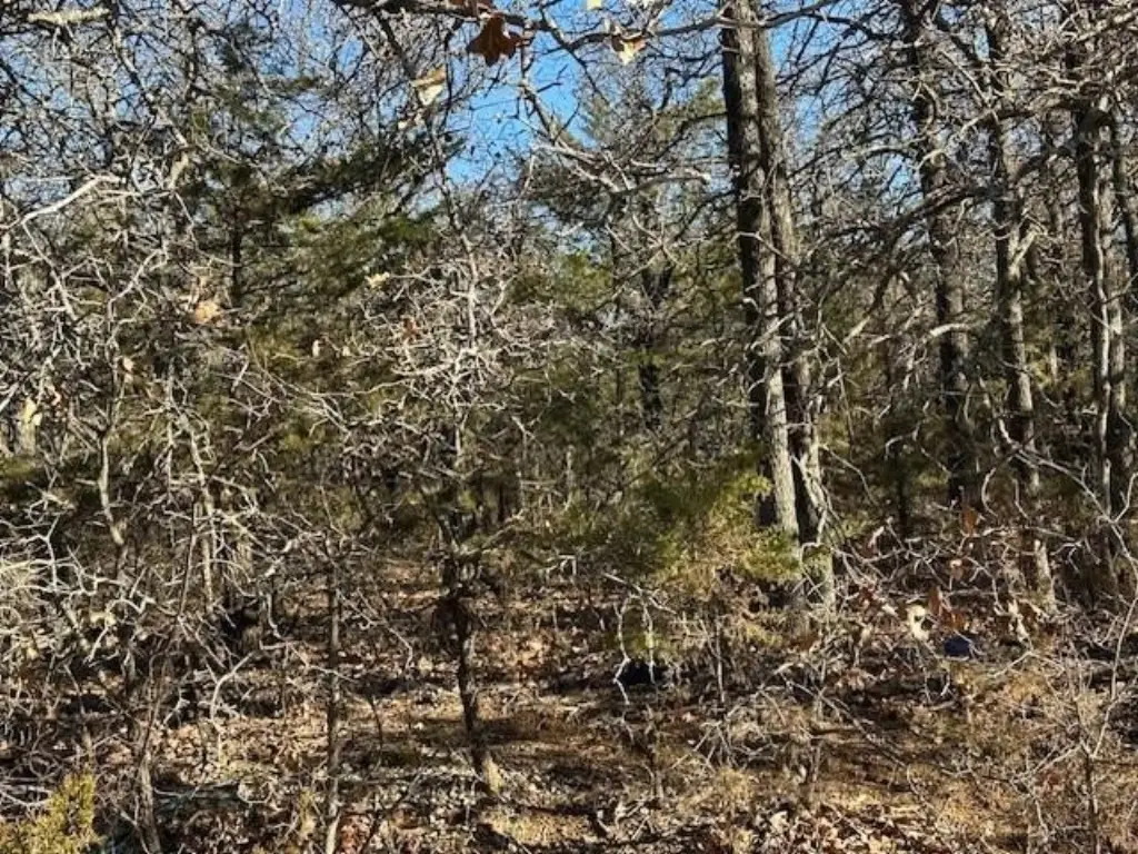 Picture 12