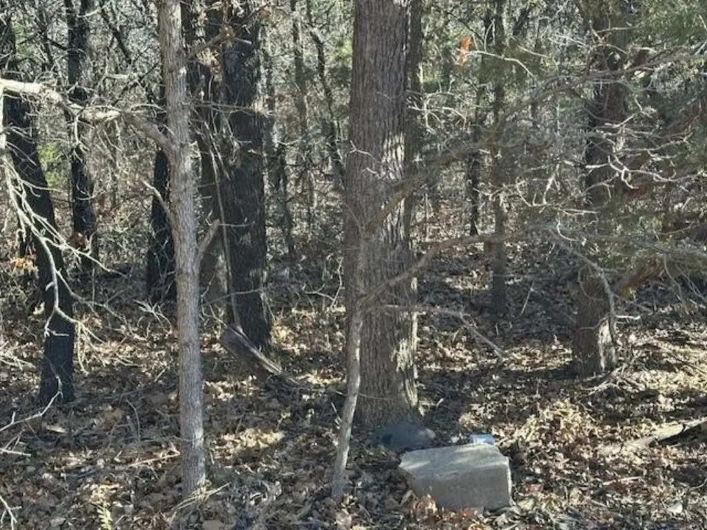 Picture 5